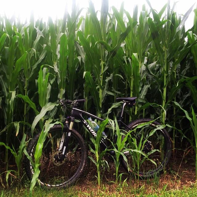 S-Works Child of the Corn