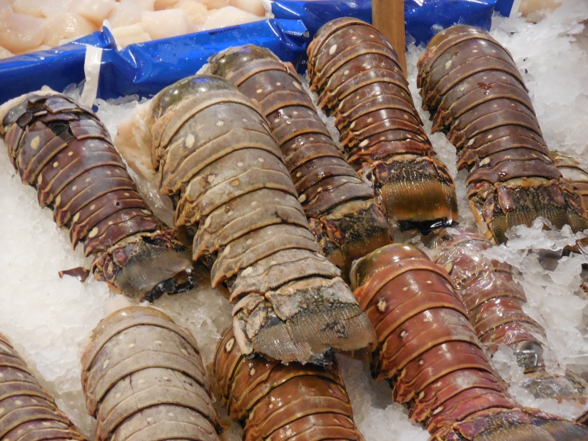 OK, lobsters look like big crusty worms to me.  Yuck.